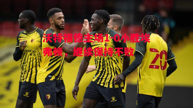 沃特福德主场1-0小胜埃弗顿，继续保持不败