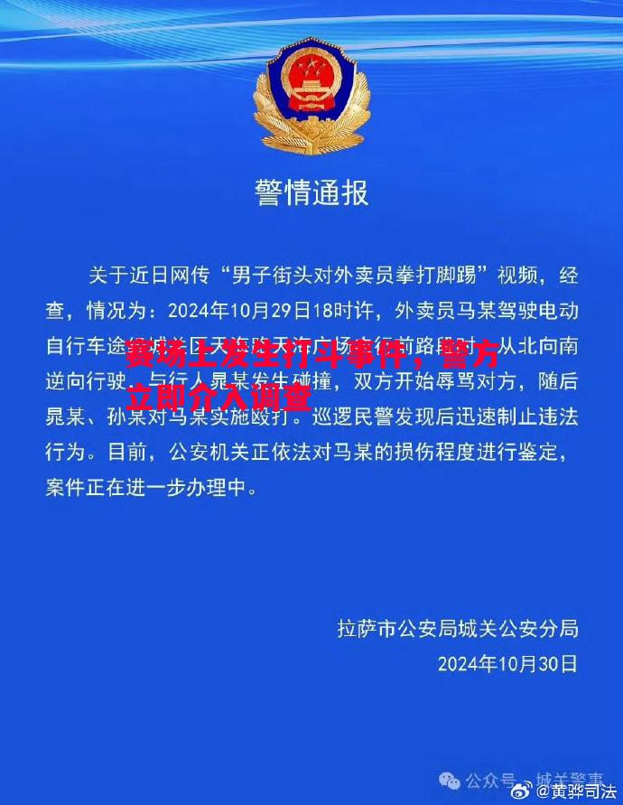 赛场上发生打斗事件，警方立即介入调查