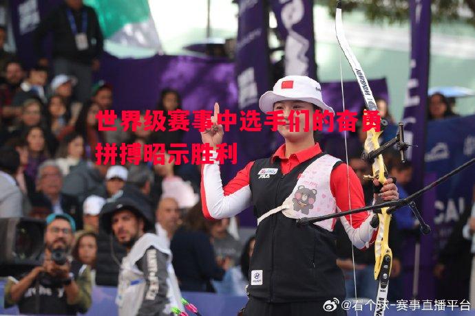 世界级赛事中选手们的奋勇拼搏昭示胜利