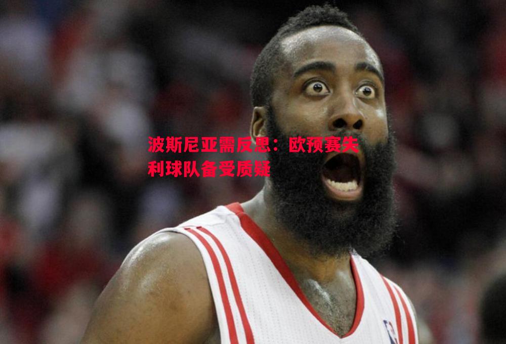 波斯尼亚需反思：欧预赛失利球队备受质疑